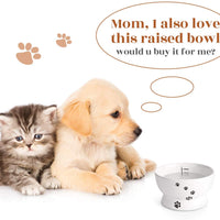Y YHY cuenco de agua de cerámica para gatos, cuencos de comida para gatos de 5 pulgadas, protege la espina del gato, libre de estrés, prevención de reflujo, regalo para gato, color blanco - BESTMASCOTA.COM