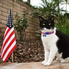 BoomBone Collar de gato patriótico con colgante de campana y bandera americana, collares para cachorros pequeños - BESTMASCOTA.COM