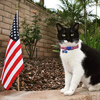 BoomBone Collar de gato patriótico con colgante de campana y bandera americana, collares para cachorros pequeños - BESTMASCOTA.COM