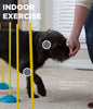 Juego para principiantes de agilidad Zip Zoom para perros, de interior, con túnel, postes para zigzaguear, obstáculos de salto de altura por Outward Hound - BESTMASCOTA.COM