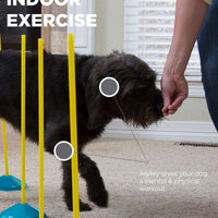 Juego para principiantes de agilidad Zip Zoom para perros, de interior, con túnel, postes para zigzaguear, obstáculos de salto de altura por Outward Hound - BESTMASCOTA.COM