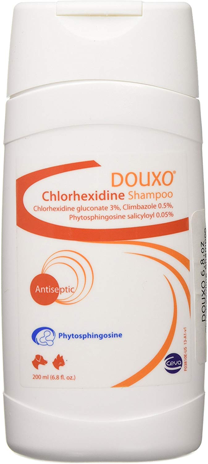 sogeval DOUXO Clorhexidina PS – Champú con climbazole, 6.8-ounce - BESTMASCOTA.COM