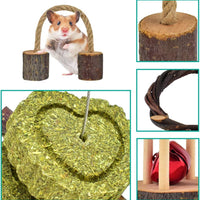 ERKOON New 12 Pack Hamster Chew Toys Gerbil Rat Guinea Pig Chinchilla Chew Toys Accessories, Natural Wooden Dumbbells Exercise Bell Roller Teeth Care Molar Toy for Rabbits Bird Rabbits Hamster Gerbil - BESTMASCOTA.COM