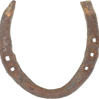 Wonder Care - Herradura de caballo de trabajo (desgastada), color plateado - BESTMASCOTA.COM
