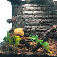POPETPOP Reptiles Vines para escalada artificial selva curva rama terrario jaula Habitat decoración para lagarto araña camaleón serpientes gecko ranas pequeñas mascotas - BESTMASCOTA.COM