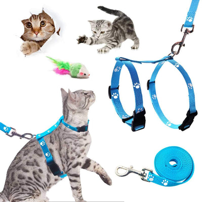 GABraden Arnés y correa para gato con collar de rotura – a prueba de escape, ajustable para caminar al aire libre, hebilla de seguridad duradera de nailon azul - BESTMASCOTA.COM