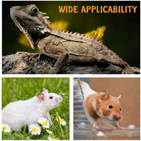 Bigbigjk - Juego de 2 correas de dragón (S, M, L, 2 unidades), arnés de dragón con barba, arnés ajustable para reptiles con correa de lagarto, anfibios de correa de gecko, correas para mascotas de animales pequeños (3 tamaños) - BESTMASCOTA.COM