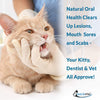 Oral Health for Cats Dental Treatment - Natural Stomatitis and Gingivitis Solution is Highly Effective for Feline Mouth Issues Including Tartar and Inflammed Gums - Easy to Use (450 pills) - BESTMASCOTA.COM
