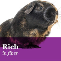 F.M. Brown's Tropical Carnival Gourmet Comida para cobayas con pellets de Alfalfa y Timothy - Dieta diaria con vitamina y nutrientes - BESTMASCOTA.COM