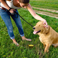 Simple Solution Artículo para ayudar al entrenamiento de perro (para orinar en exteriores) - BESTMASCOTA.COM
