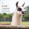 trucare Z/M parte superior-dress Trace mezcla de minerales para multi-species: Cerdos, oveja, Llamas, conejos, Aves de corral (Zinc, Manganeso) - BESTMASCOTA.COM