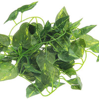 FACILLA Artificial Scindapsus vid para reptiles Lagarto camaleón Habitat decoración verde - BESTMASCOTA.COM