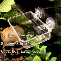 Tfwadmx - 2 comederos Gecko para gecko y gusanos de reptiles, fuente de agua, plato translúcido, antiescape, para gecko serpientes, camaleón, Iguana, lagarto - BESTMASCOTA.COM