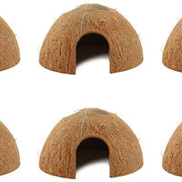 Coco para ocultar Reptiles o pescado - BESTMASCOTA.COM