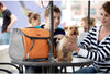 ARGO by teafco Pet Avion Airline Aprobado Pet Carrier, Tango Naranja, Medium - BESTMASCOTA.COM