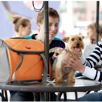 ARGO by teafco Pet Avion Airline Aprobado Pet Carrier, Tango Naranja, Medium - BESTMASCOTA.COM