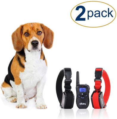 Shock Collar para perros pequeños con mando a distancia + Free de perro Clicker Entrenamiento – Clicker + collar = resultados más rápidos – 3 Modo (sonido golpes, Vibration & Choque) – Ahorrar Dinero con baterías recargables - BESTMASCOTA.COM