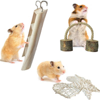YUEPET Chinchilla Toys Guinea Pig Gerbil Rat Hamster Chew Toys Accessories Natural Wooden Seesaw Ladder Teeth Care Molar Toy for Bunny Rabbits Gerbils (Pack of 10) - BESTMASCOTA.COM