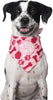 Hecho perro Cumpleaños Bandana – niña - BESTMASCOTA.COM