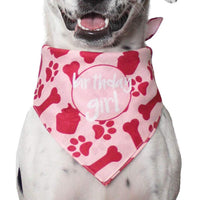 Hecho perro Cumpleaños Bandana – niña - BESTMASCOTA.COM