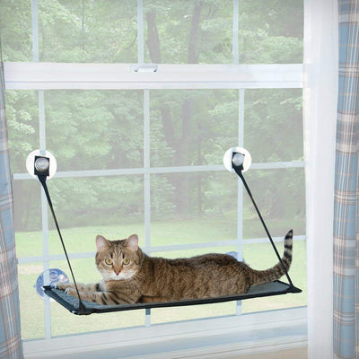 Fabricante K&H, Estante de montaje para ventana para gatito - BESTMASCOTA.COM