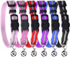 PUPTECK - Collar reflectante para gato, 6 unidades, con campana - BESTMASCOTA.COM