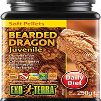 EXO TERRA suave alevines de dragón Barbudo alimentos, 8.8-ounce - BESTMASCOTA.COM