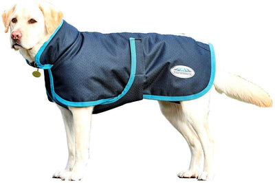 WeatherBeeta Parka 1200D, abrigo para perro - BESTMASCOTA.COM