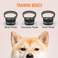 TBI Pro Professional K9 - Collar de entrenamiento para perro con mando a distancia de largo alcance con control de vibración, recargable y totalmente impermeable IPX7 para perros pequeños, medianos, grandes, todas las razas - BESTMASCOTA.COM