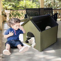 Al aire última intervensión/uso en interiores casa del gato por mascota Peppy - BESTMASCOTA.COM