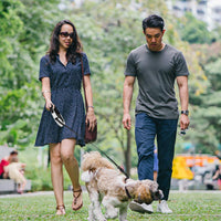 QiMH Correa retráctil para perro, 360 ° sin enredos, resistente y reflectante de 16.0 ft con asa antideslizante para perros de tamaño mediano y grande de hasta 110 libras, freno de una mano, pausa y bloqueo - BESTMASCOTA.COM