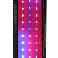 Innovador Marine ChaetoMax Refugium Luz LED - BESTMASCOTA.COM