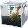 Boutique Betta Rimless Low Iron Glass Aquarium Tank 20x20x20cm 5mm Thickness Standard Jointed - BESTMASCOTA.COM