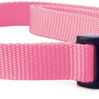 Extreme Dog Fence - Correa de repuesto para collar de perro, compatible con casi todas las marcas y modelos de vallas de perros. - BESTMASCOTA.COM