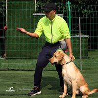 DoggyDobby - Bolsa de entrenamiento para perros con dispensador de bolsa de caca (3 maneras de usar), cinturón ajustable y correa para el hombro - BESTMASCOTA.COM