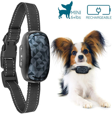 GoodBoy - Collar pequeño para perros pequeños y medianos, resistente a la intemperie y vibrante, con dispositivo de entrenamiento antiladrillos que es el más pequeño y seguro en Amazon – ¡sin choques ni pinzas con pinchos! (6+ lb) - BESTMASCOTA.COM