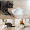 Aurora - Fuente de cerámica para gatos y mascotas, fuente de agua higiénica y fácil de limpiar, ultra silenciosa, resistente a los arañazos, dispensador de agua para gatos con filtro de carbono activado y prefiltro de espuma de esponja - BESTMASCOTA.COM