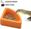 Bowls Gecko Feeding Ledge, Reptile Suction Cup Food Dish for Snakes Lizards Spiders Chameleons Corn Snakes Iguanas Reptiles - BESTMASCOTA.COM