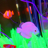 gootrades - Juego de 3 piezas de peces artificiales efecto brillante para acuario decoración flotante - BESTMASCOTA.COM