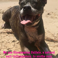 Doc ackermans Artritis y Reuma Fórmula para perros y gatos - BESTMASCOTA.COM