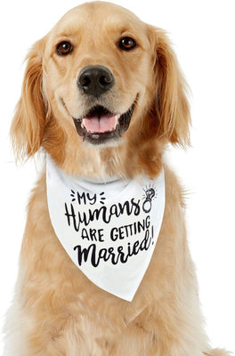 Bandana para perro My Humans are Getting Married Dog Bandana, bandana para perro de boda, anuncio de compromiso, accesorio para fotos de boda, bufanda para mascotas, mascota - BESTMASCOTA.COM