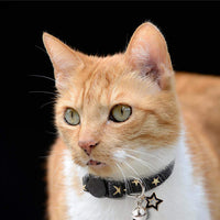 Collar con colgante de estrella para gato con campana, collares negros para perros pequeños - BESTMASCOTA.COM