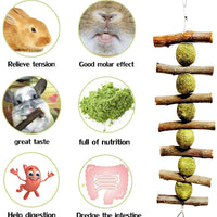 Petawi Rabbit Chinchilla Treats and Chews Toys for Teeth Natural Organic Apple Wood Chew Sticks Pet Supplies for Chinchilla Dwarf Rabbit Guinea Pig Rat Hamster Squirrel - BESTMASCOTA.COM