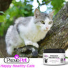 Probiotics para gatos – 100% de garantía – Mejores Condiciones para Diarrea, Vómito, Gas, piel – tasteless – No Fillers – Non OMG – Trigo y Lácteos Free – Certificado GMP – Veterinario Aprobado - BESTMASCOTA.COM