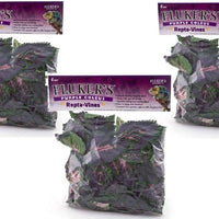 Fluker Coleus Repta Vines Púrpura para Reptiles y Anfibios - BESTMASCOTA.COM