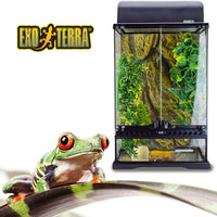 Kit de hábitat de bosque lluvioso Exo Terra, S - BESTMASCOTA.COM