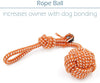 Conjunto de juguetes para perro pequeño, paquete de 6, balón, cuerda y juguetes para masticar para cachorro - BESTMASCOTA.COM