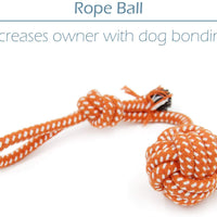 Conjunto de juguetes para perro pequeño, paquete de 6, balón, cuerda y juguetes para masticar para cachorro - BESTMASCOTA.COM
