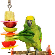 rypet brochetas de pájaros, aves y animales pequeños soporte frutas y verduras de acero inoxidable para jaulas - BESTMASCOTA.COM