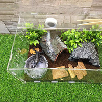 Tfwadmx - Cuenco de agua para reptiles, comedero de reptiles, con pinzas para tortuga, lagarto, dragón, rana, leopardo, gecko, serpiente, araña, camaleón (3 unidades) - BESTMASCOTA.COM